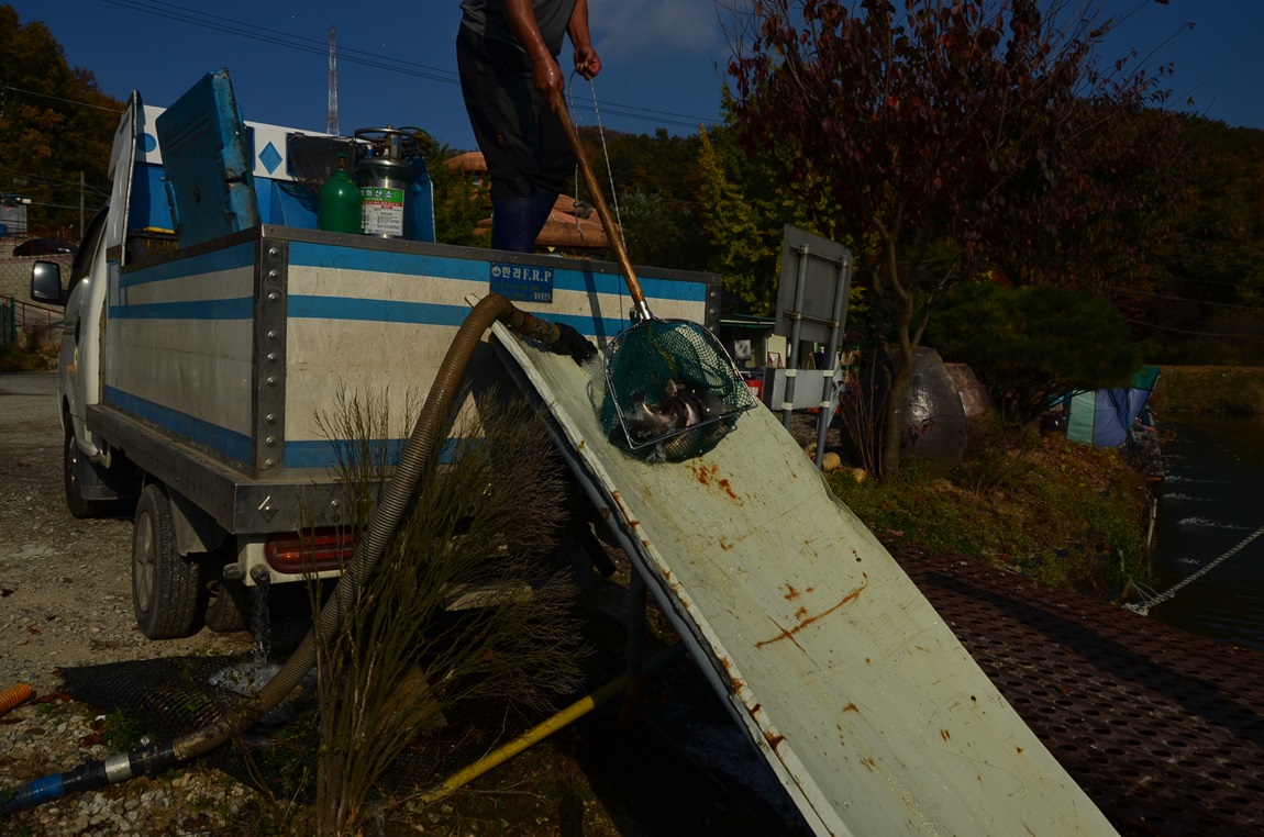DSC_1813.JPG