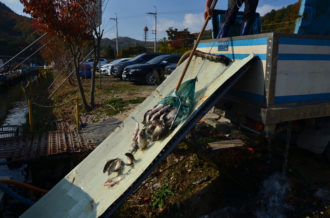 DSC_1805.JPG