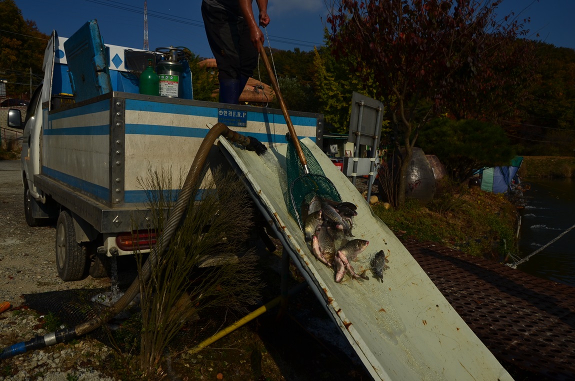 DSC_1815.JPG