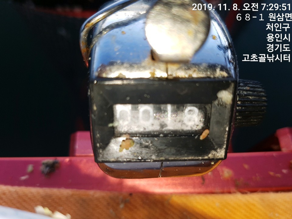 1573172560517-8.jpg