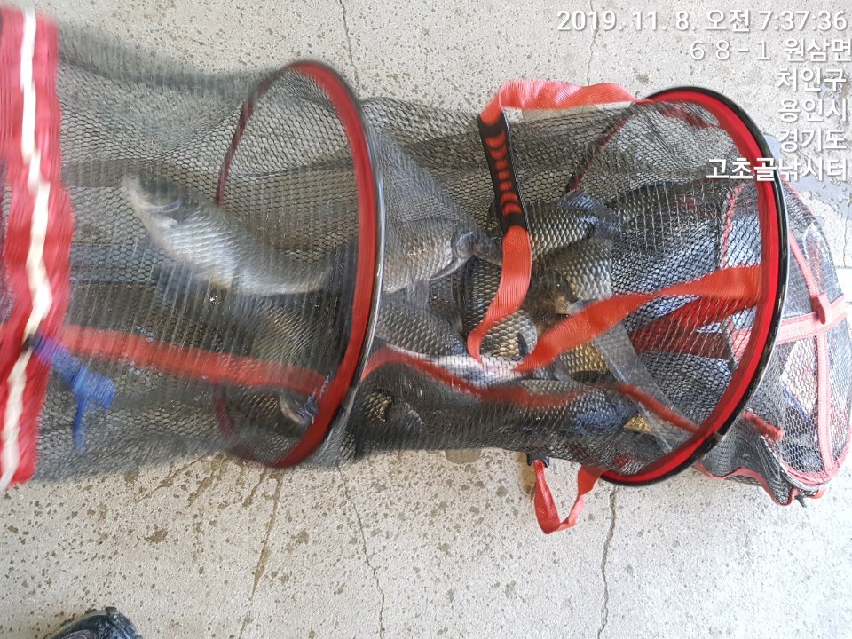 1573172560517-10.jpg