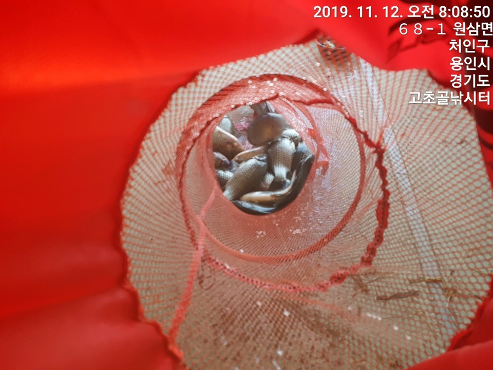 1573537515090-15.jpg