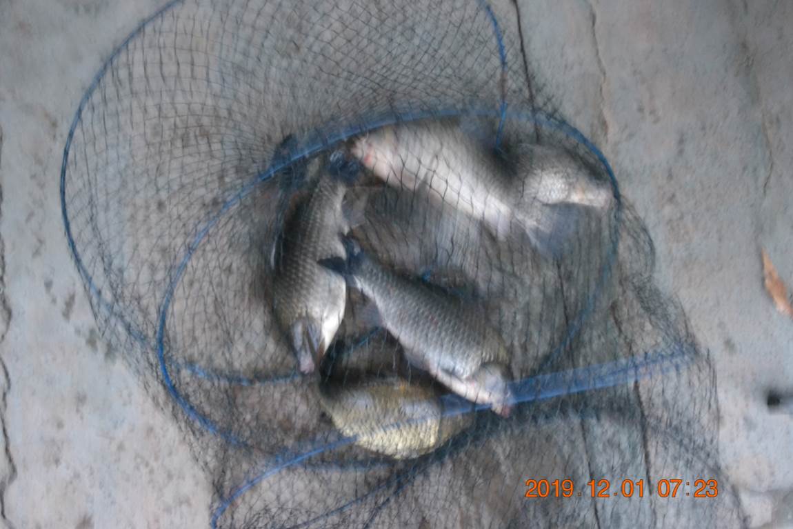 DSC_0007.JPG