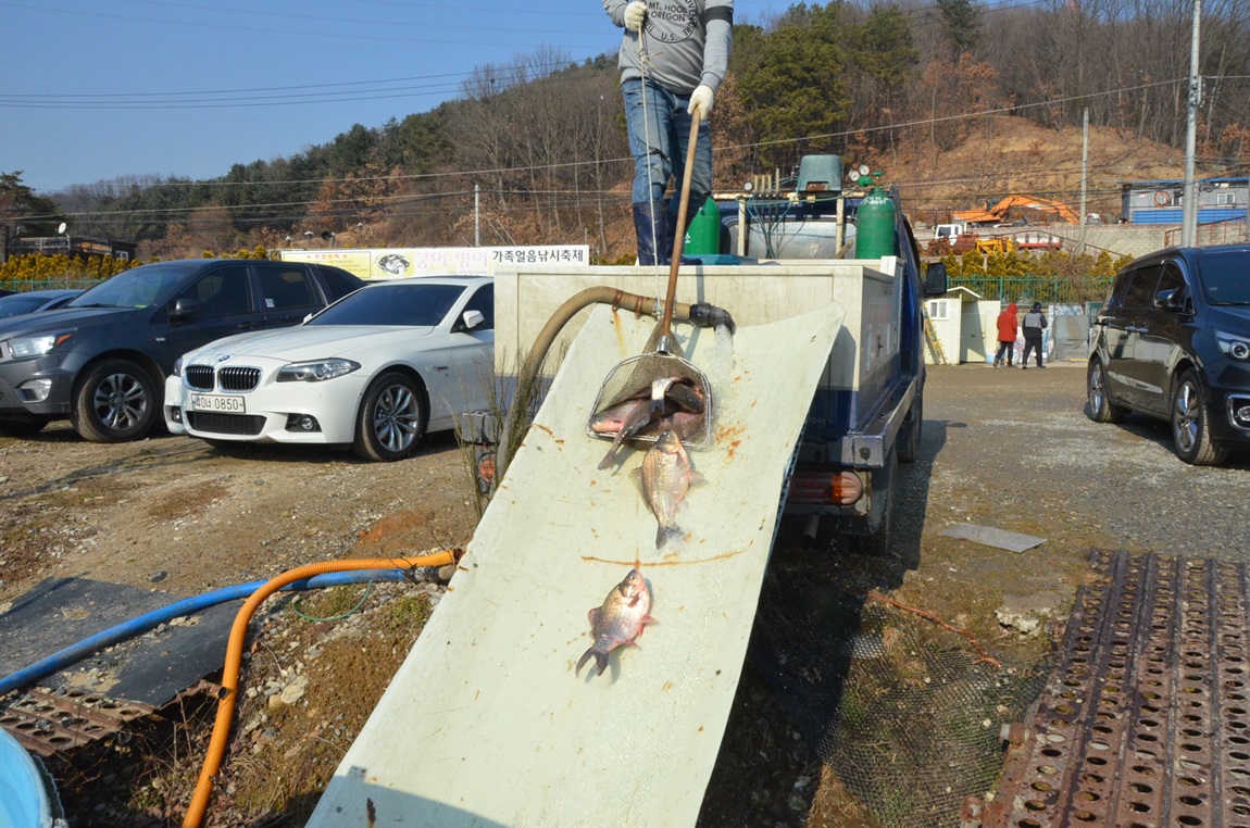 DSC_4742.JPG