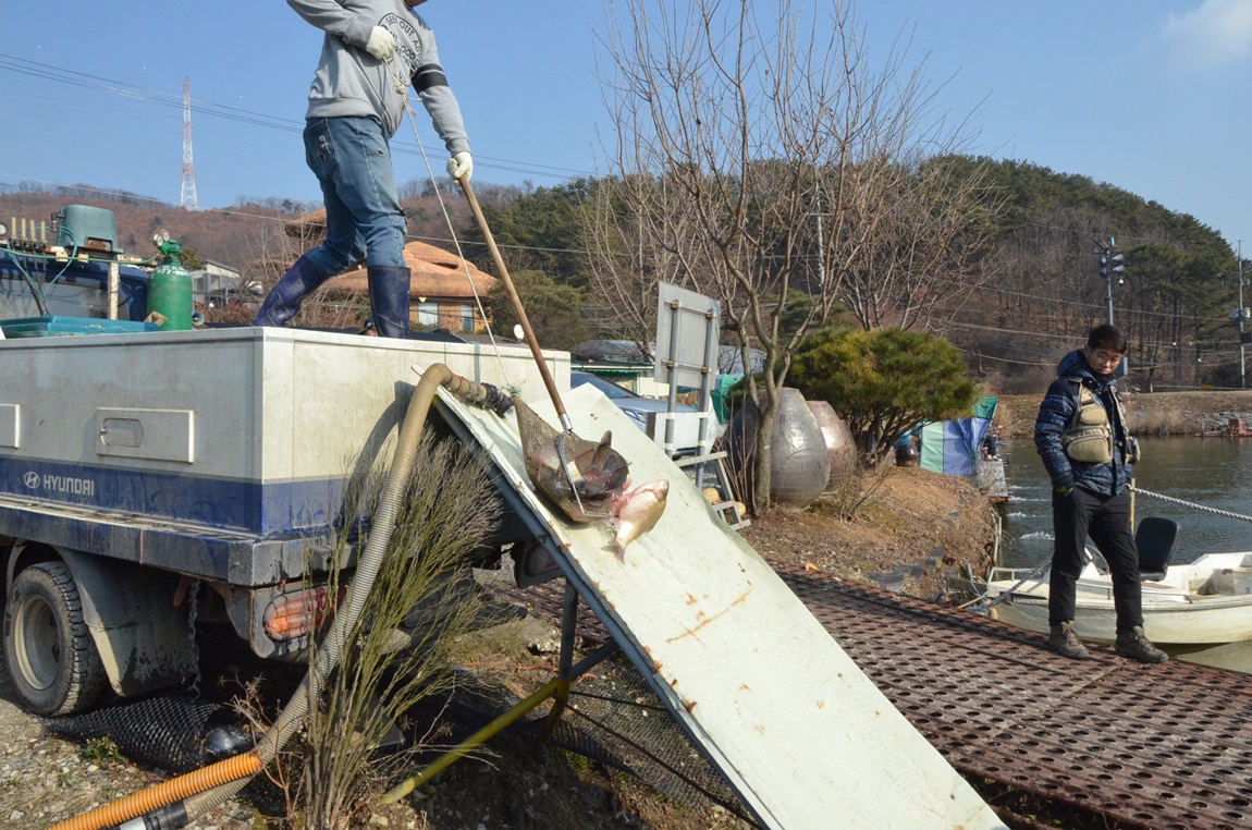 DSC_4753.JPG