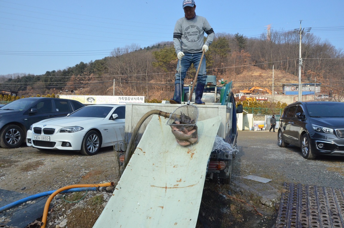 DSC_4771.JPG