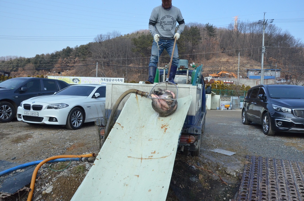DSC_4775.JPG