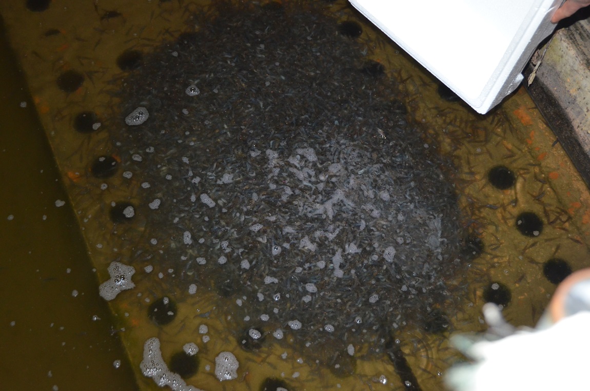 DSC_4809.JPG
