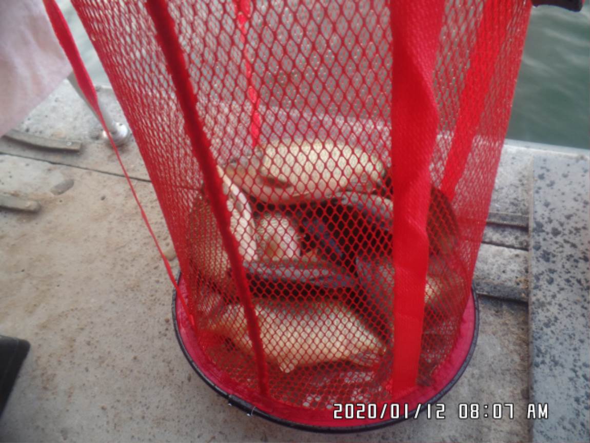 SAM_3520.JPG
