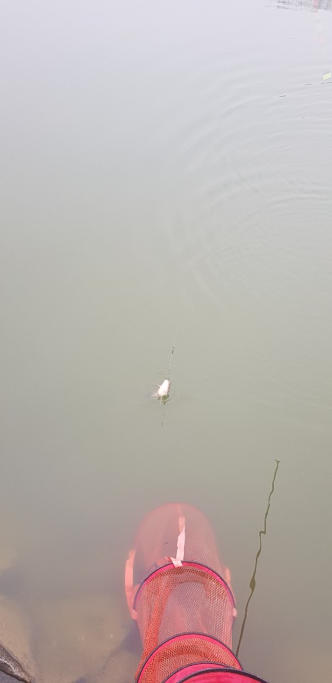 KakaoTalk_20200212_135019671.jpg
