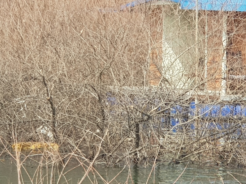 [ũ⺯ȯ]20190222_134411.jpg