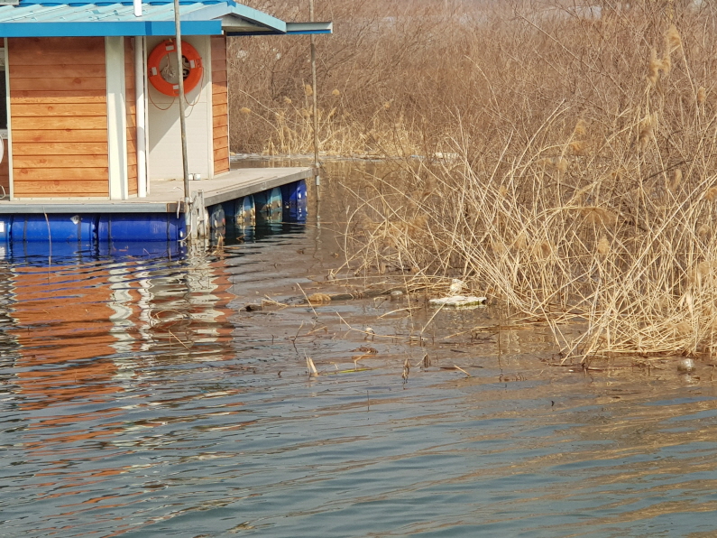 [ũ⺯ȯ]20190222_134527.jpg