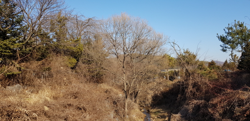 [ũ⺯ȯ]20191227_130641.jpg