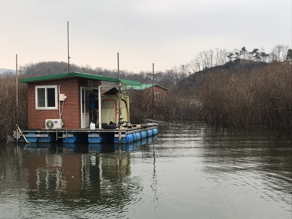 고삼지 양촌 유료낚시터 > 고삼지양촌좌대 두번째 사짜붕어 : 낚시사랑