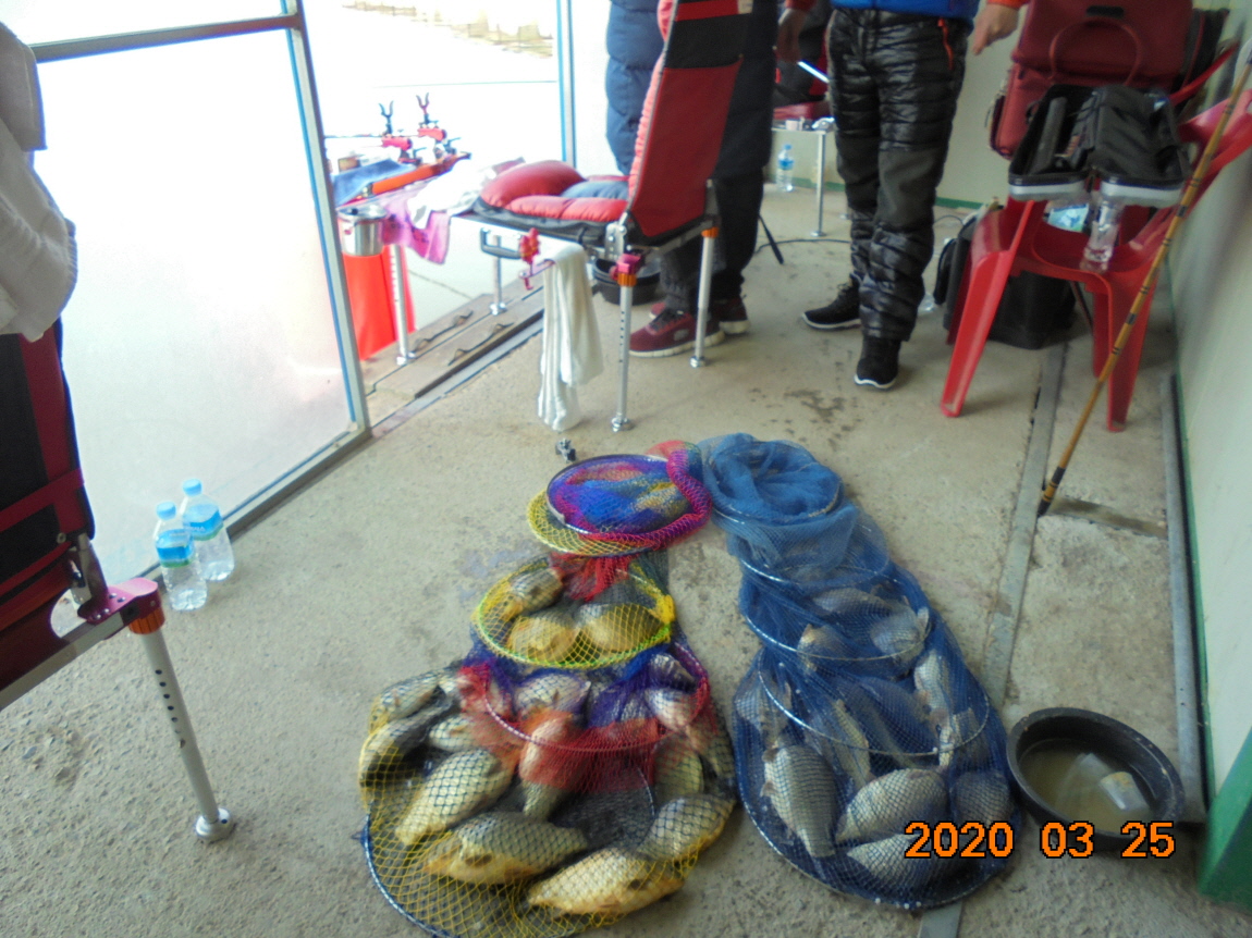 ÀϰýÆíÁý_DSC09661.JPG