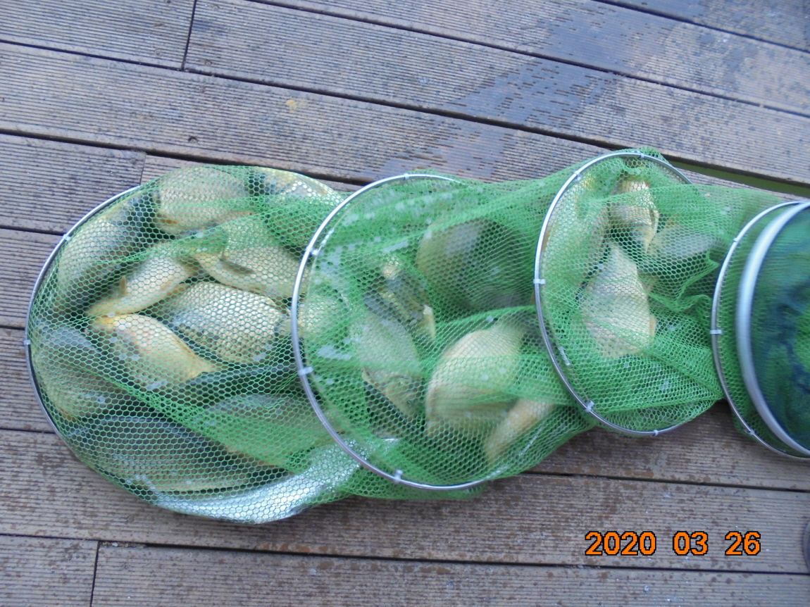 ÀϰýÆíÁý_DSC09686.JPG