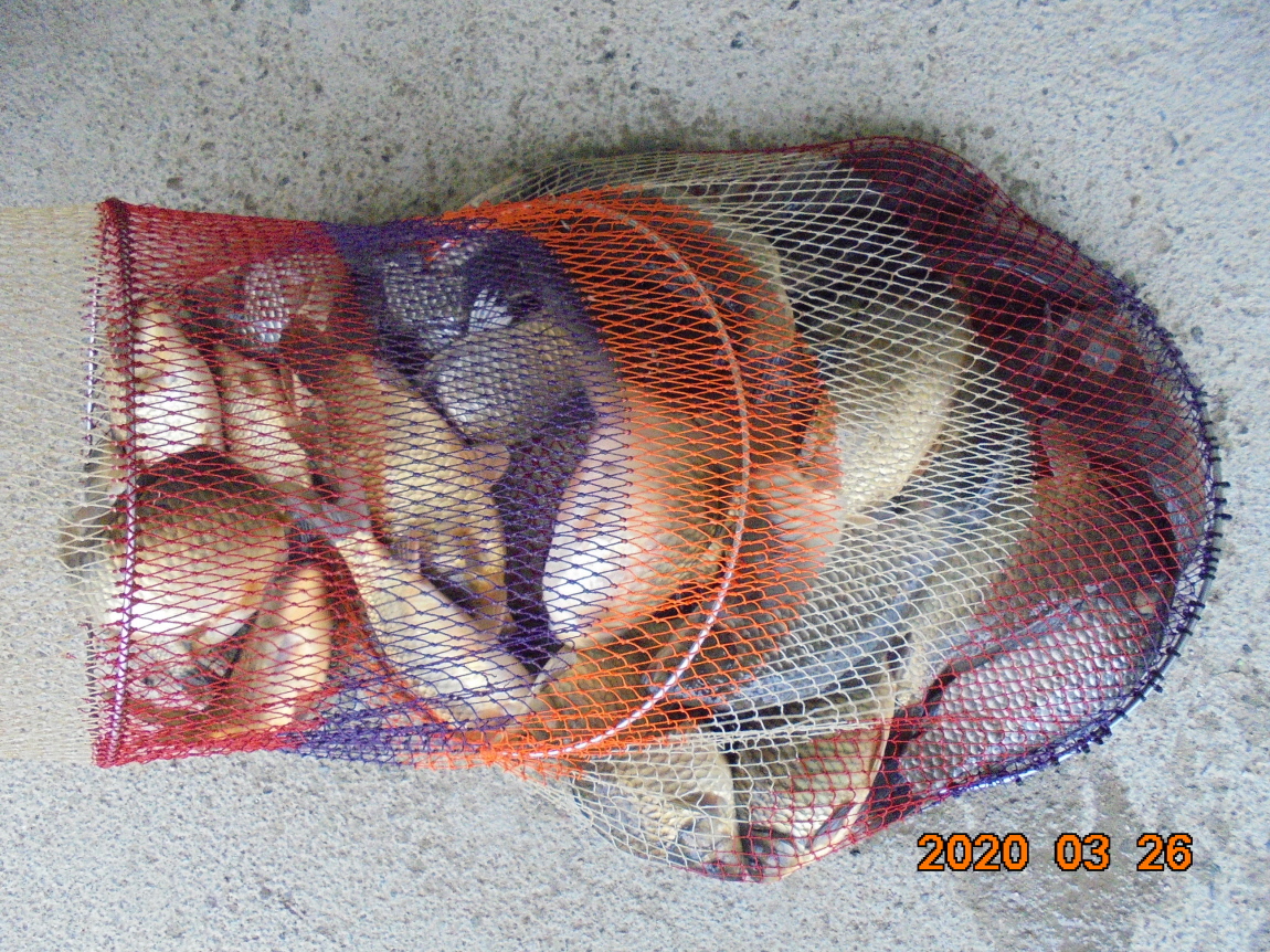 ÀϰýÆíÁý_DSC09689.JPG