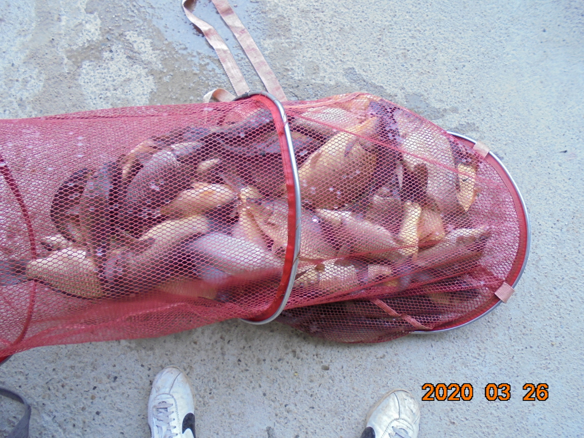 ÀϰýÆíÁý_DSC09692.JPG