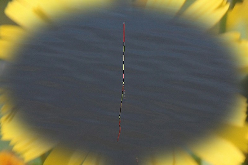 1590118135581.jpg