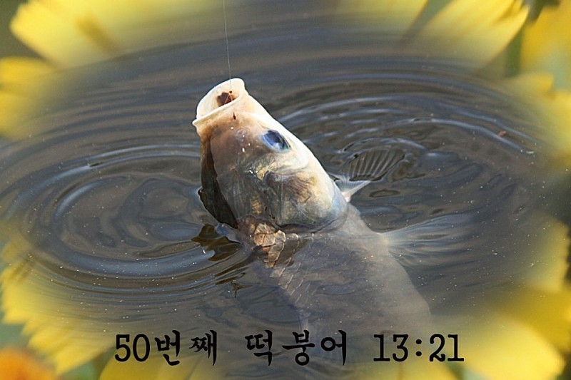 1590118198356.jpg