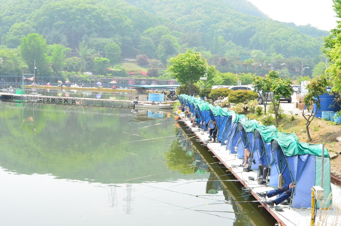 DSC_7834.JPG