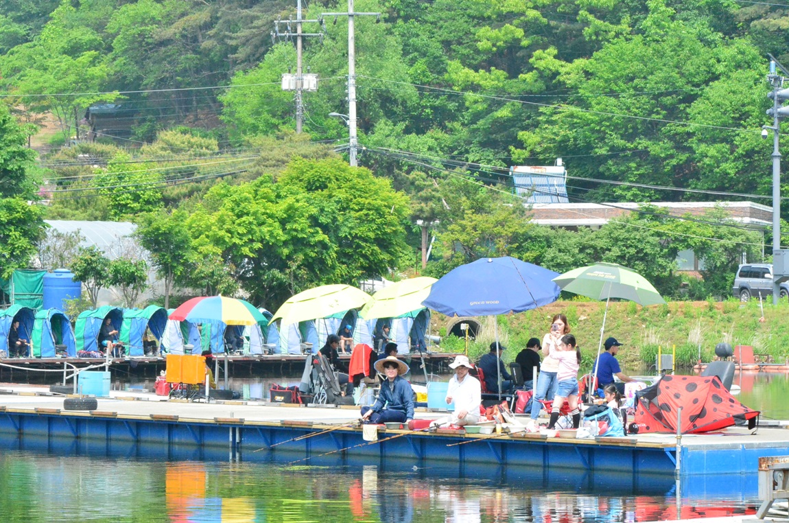 DSC_7849.JPG