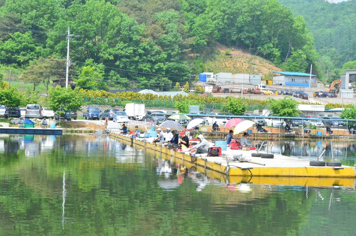 DSC_7854.JPG