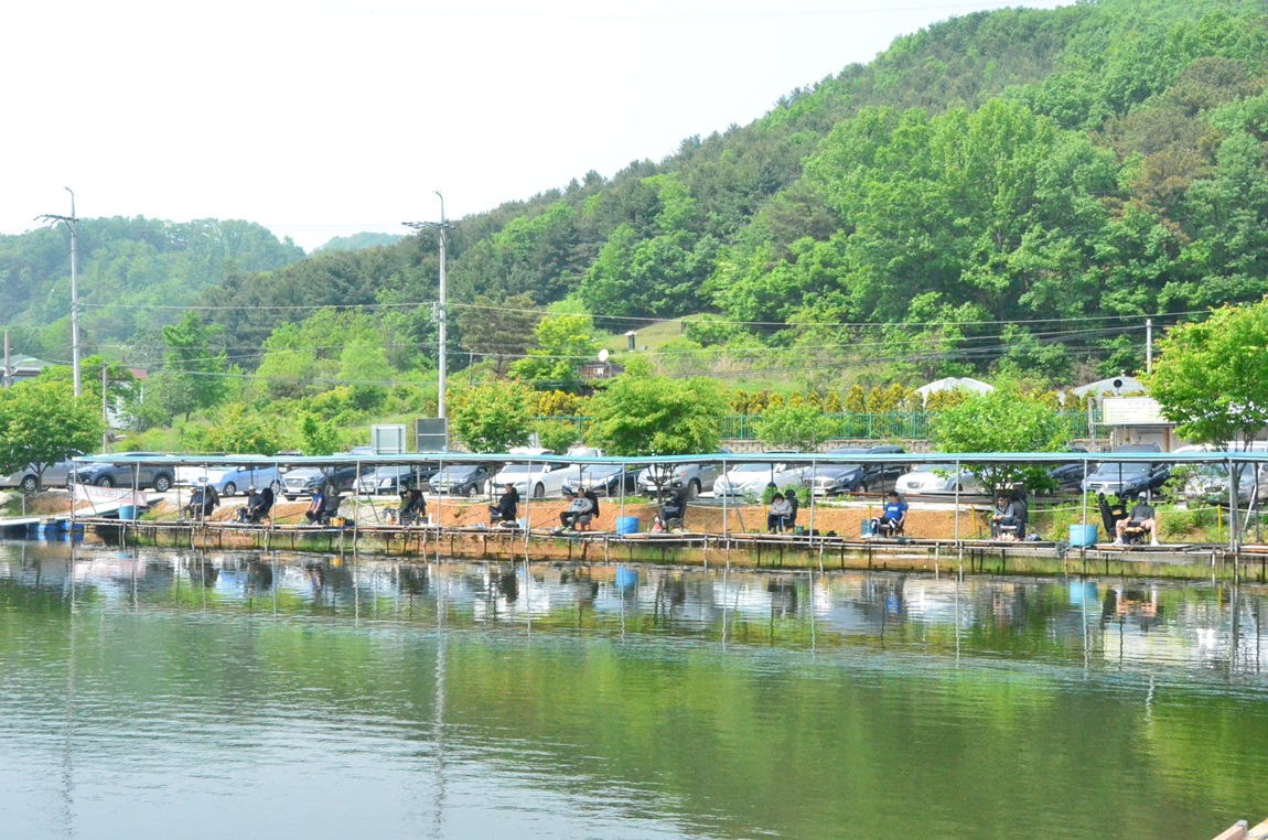 DSC_7874.JPG
