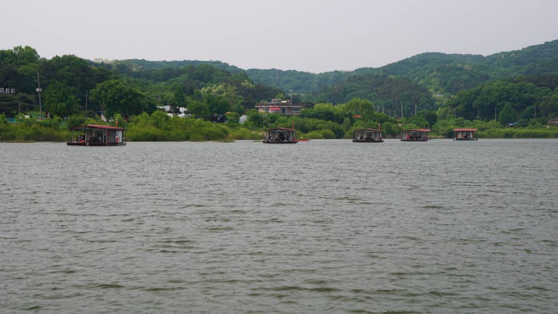 DSC09269-d.jpg