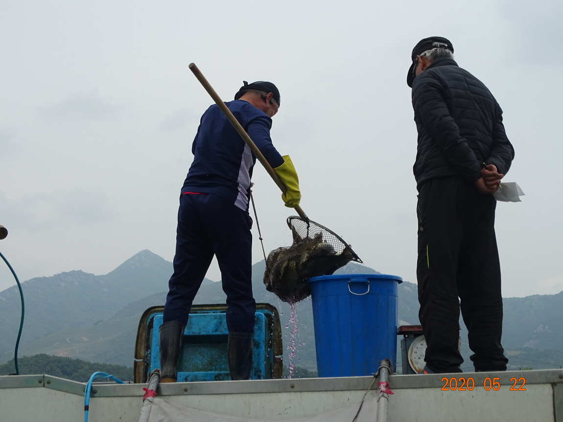 [ũ⺯ȯ]DSC08653.JPG