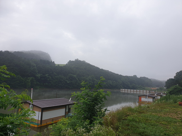 20200701_070244.jpg