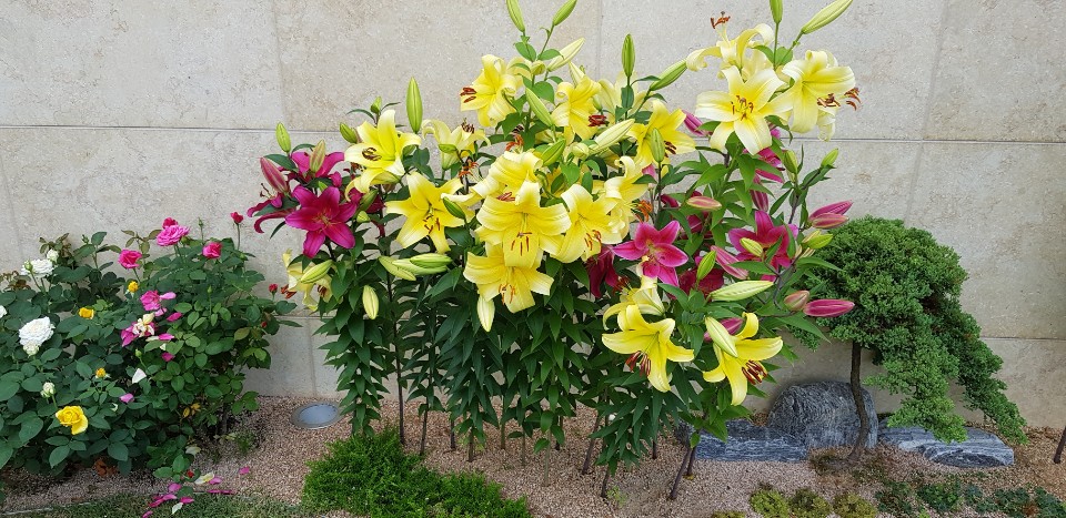 KakaoTalk_20200708_222858153.jpg