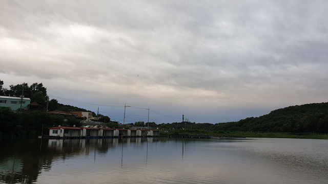 20200724_055113.jpg