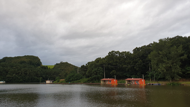 20200724_055208.jpg