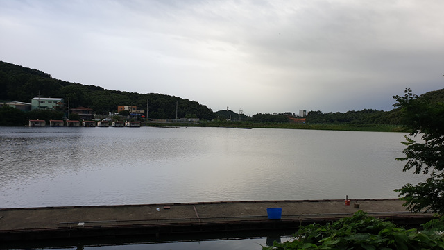 20200724_062953.jpg