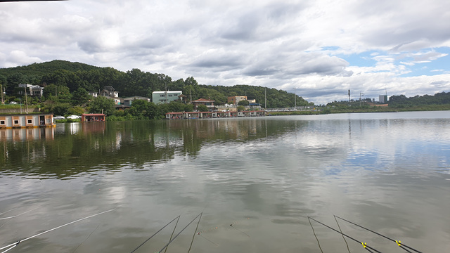 20200725_162824.jpg