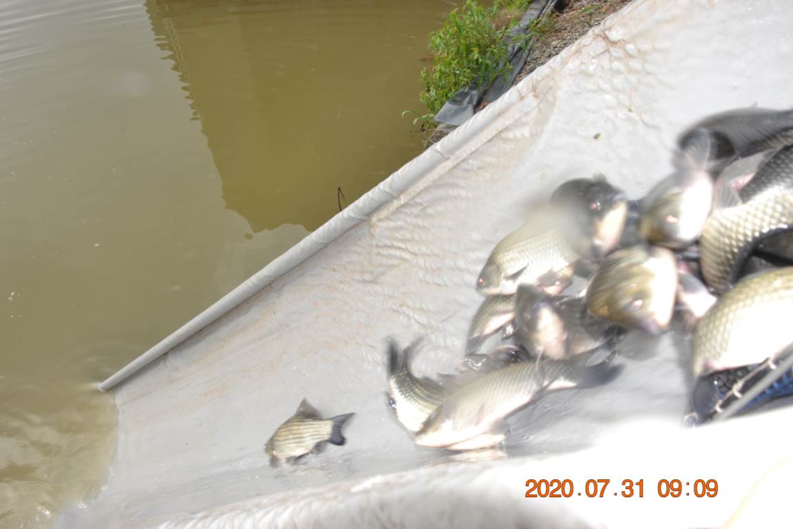 DSC_0304.JPG