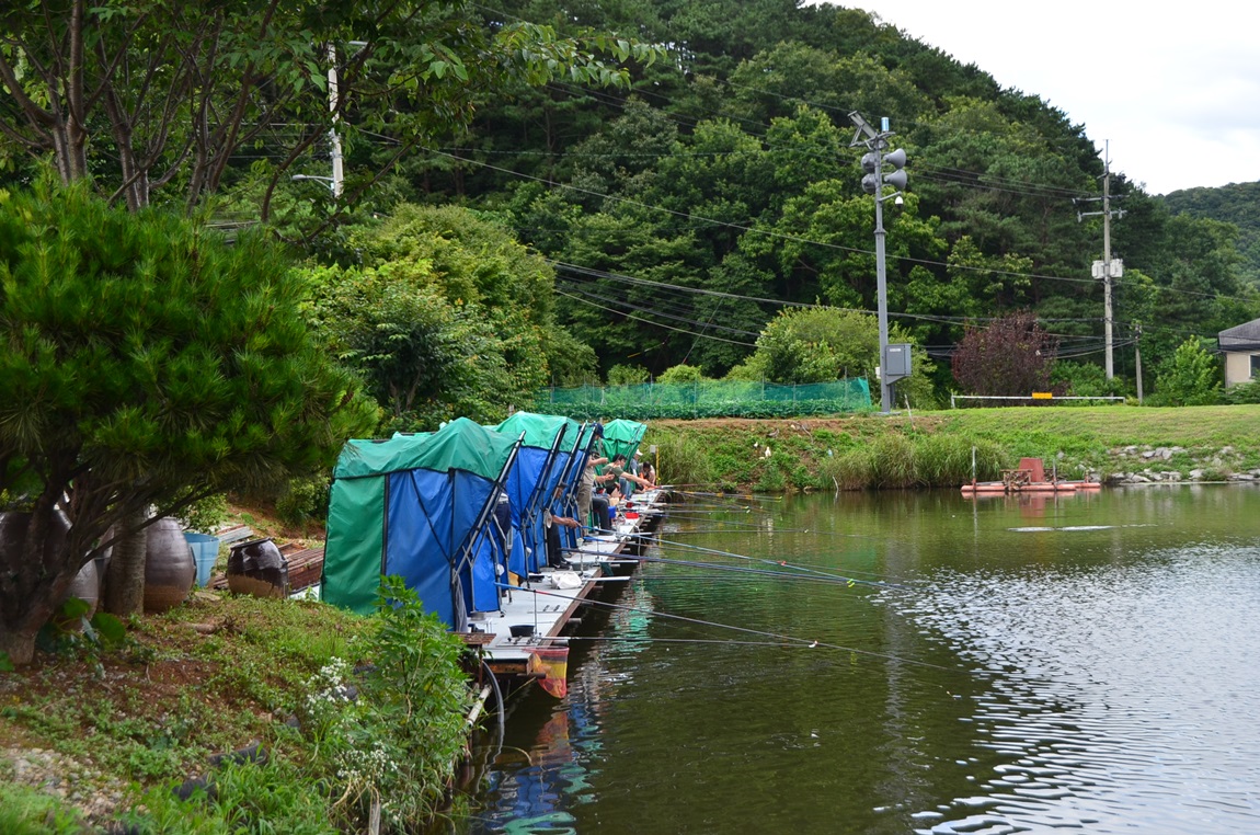 DSC_2356.JPG