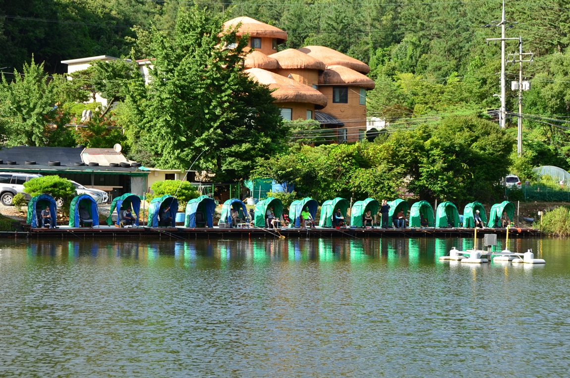 DSC_2408.JPG