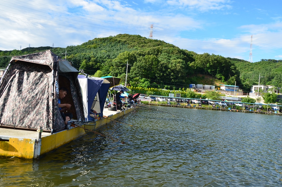 DSC_2411.JPG