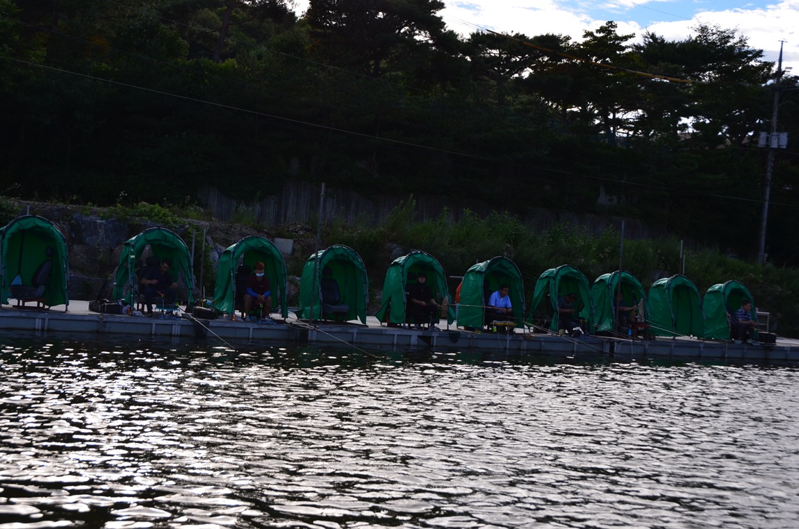 DSC_2419.JPG