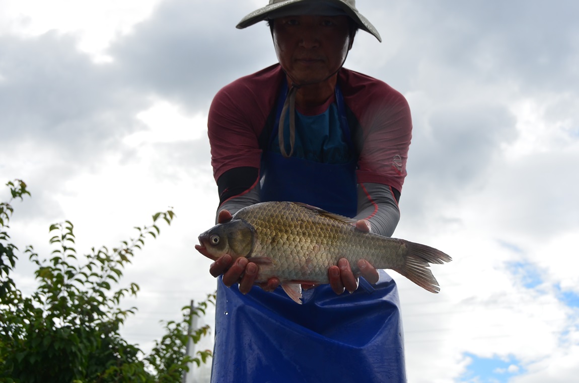 DSC_2396.JPG