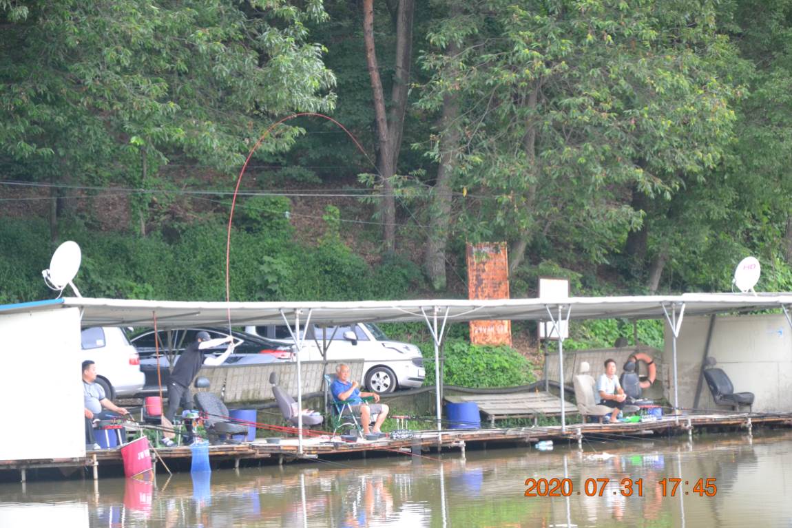 DSC_0309.JPG
