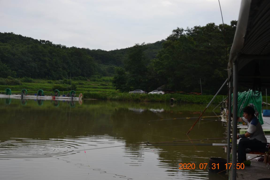 DSC_0312.JPG