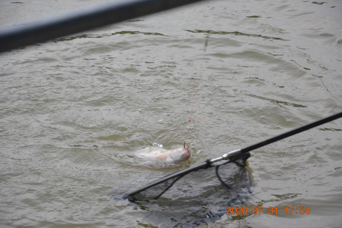 DSC_0315.JPG