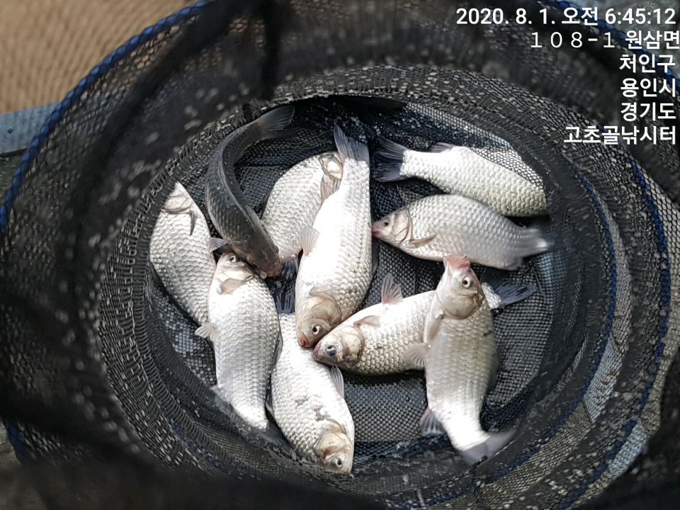 1596241715753-14.jpg
