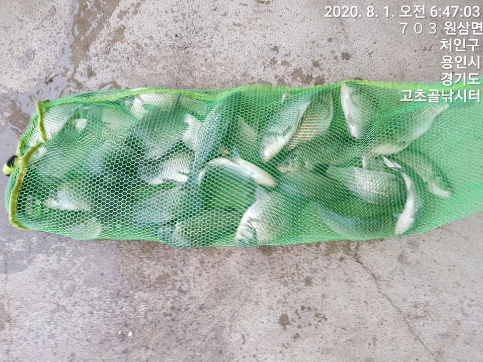 1596241715753-18.jpg