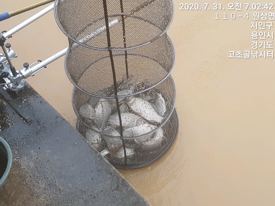 1596173302124-3.jpg