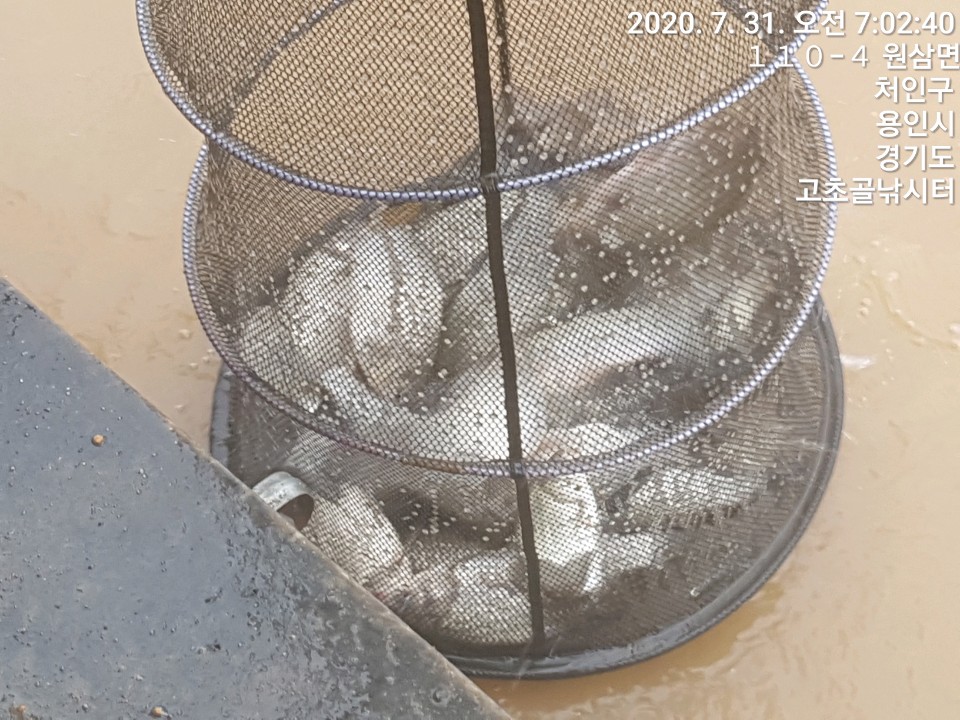 1596173302124-4.jpg