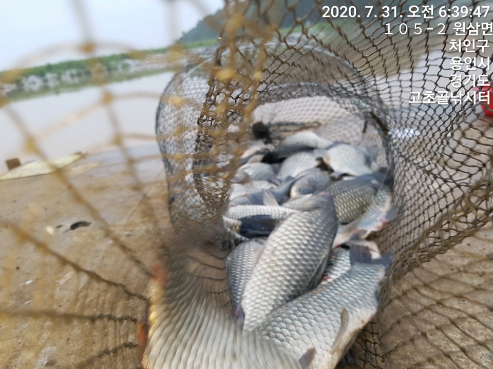 1596173302124-9.jpg